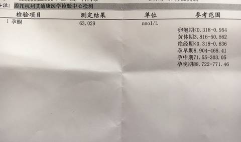 journal_insert_pic_964077605