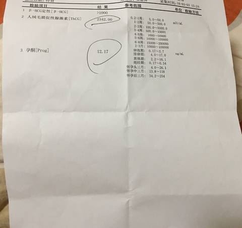 journal_insert_pic_965079742