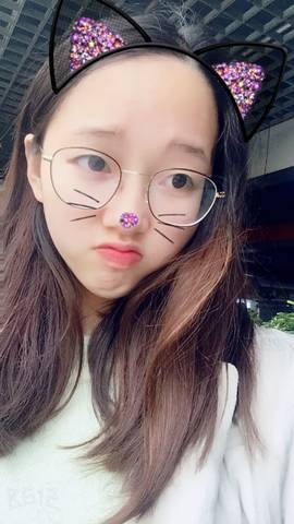 journal_insert_pic_965440521