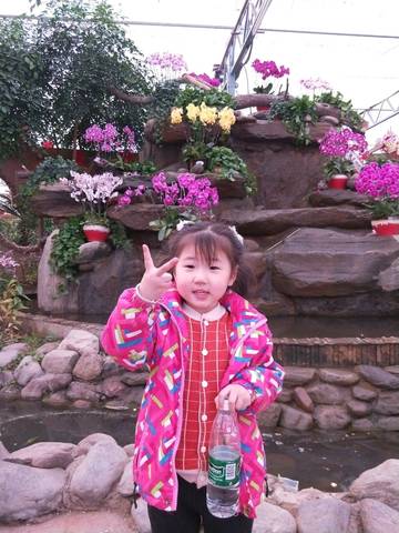 journal_insert_pic_966233888