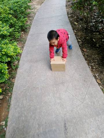 journal_insert_pic_966125417