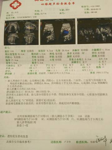 journal_insert_pic_966911895