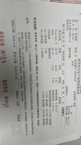journal_insert_pic_966433114