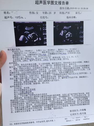 journal_insert_pic_967336359