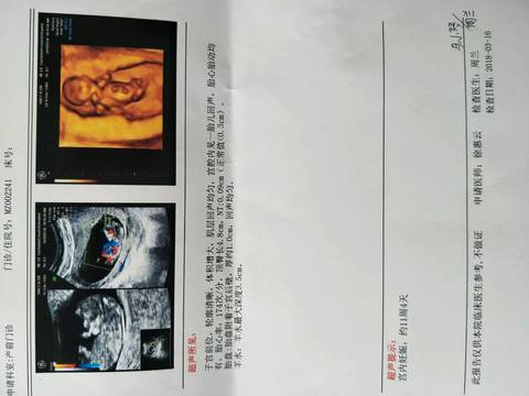 journal_insert_pic_968085781