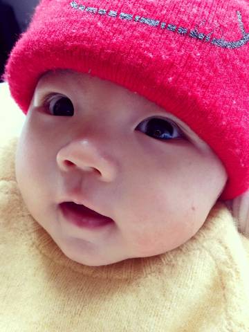 journal_insert_pic_968730916