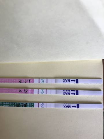 journal_insert_pic_969418572