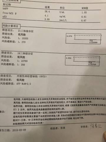 journal_insert_pic_970451854