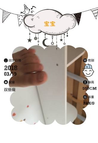 journal_insert_pic_970860211