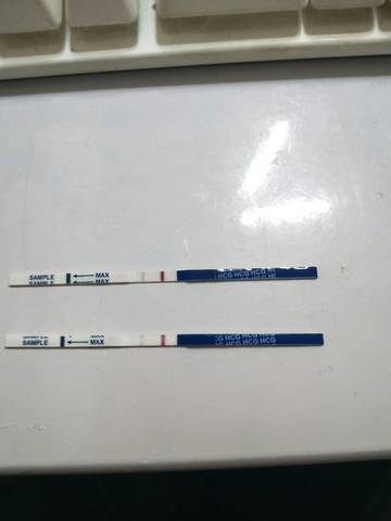 journal_insert_pic_970966417