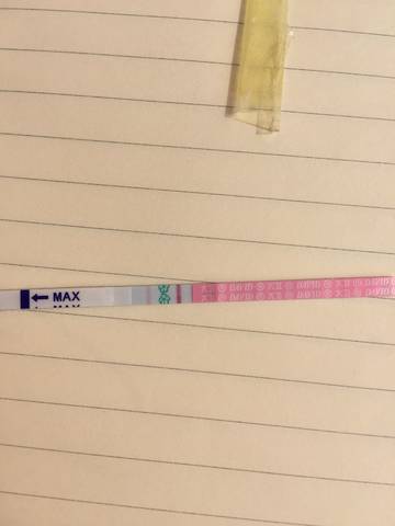 journal_insert_pic_971690681