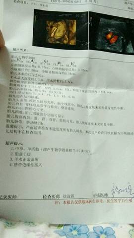 journal_insert_pic_972169195