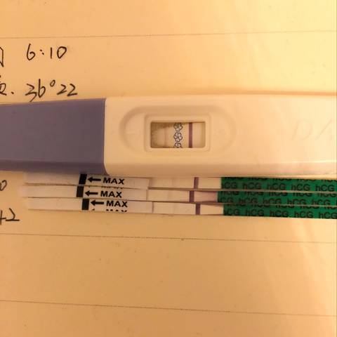 journal_insert_pic_972651293