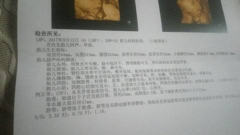 journal_insert_pic_972572320