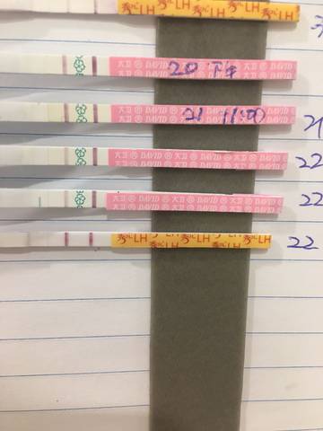 journal_insert_pic_972601491