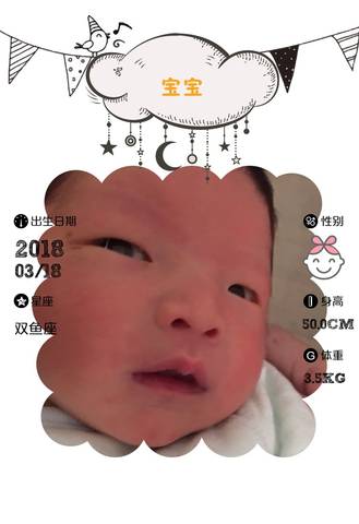 journal_insert_pic_973378123
