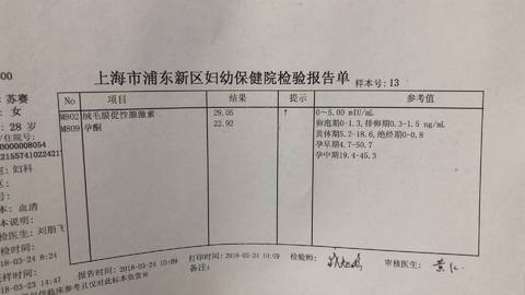 journal_insert_pic_973815912