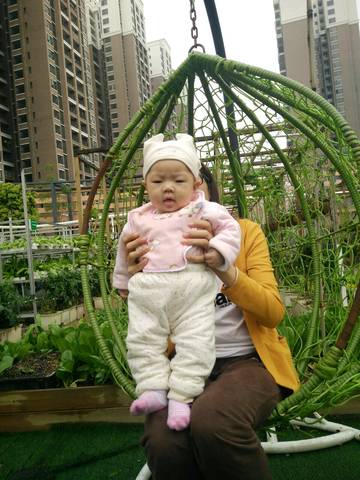 journal_insert_pic_974543882