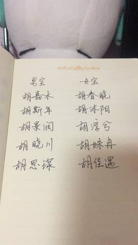 journal_insert_pic_975657867