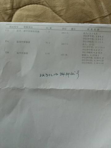 journal_insert_pic_976137385