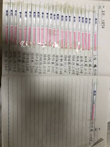 journal_insert_pic_978850494