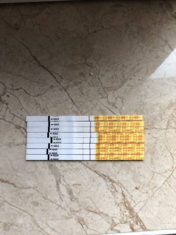 journal_insert_pic_978970384