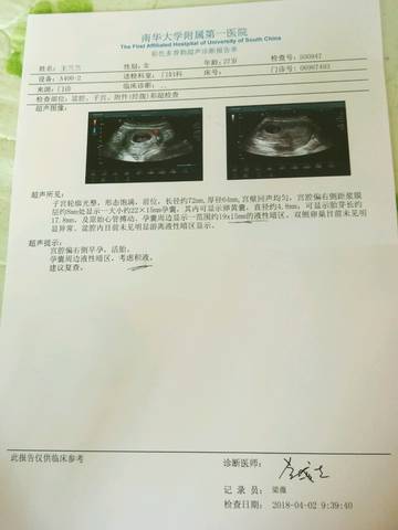 journal_insert_pic_981248183