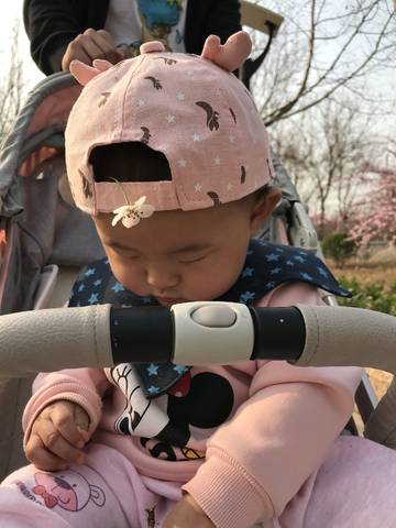 journal_insert_pic_981064372