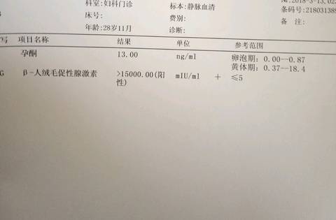 journal_insert_pic_980913324