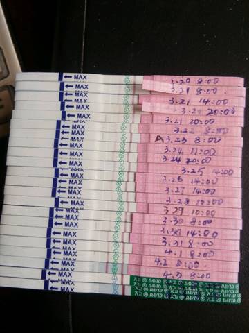 journal_insert_pic_981397530