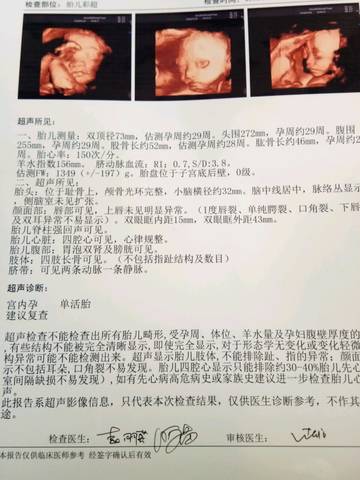 journal_insert_pic_982128574