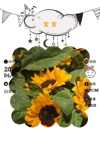 journal_insert_pic_982848635