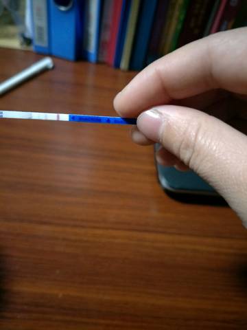 journal_insert_pic_984853425