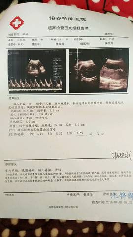 journal_insert_pic_985321369
