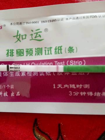 journal_insert_pic_985111229
