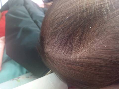 journal_insert_pic_985169854