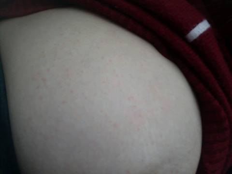 journal_insert_pic_985804544