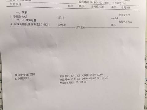 journal_insert_pic_986754771