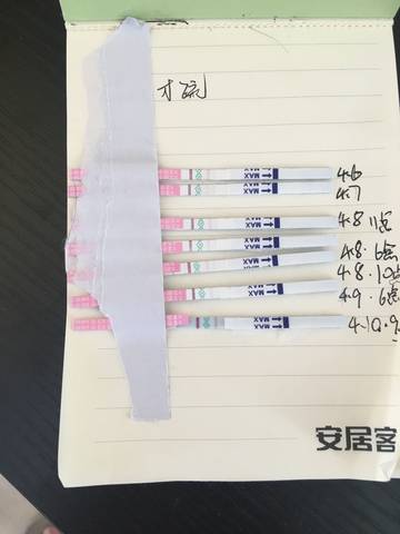 journal_insert_pic_986558501