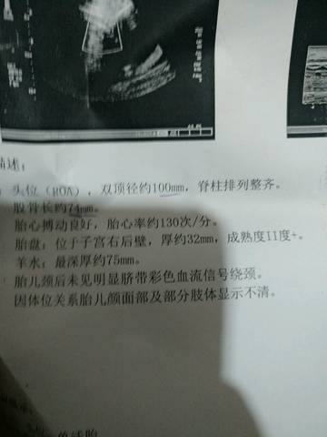 journal_insert_pic_987464285