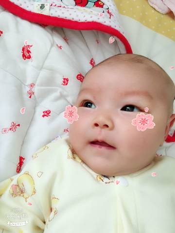 journal_insert_pic_988078333