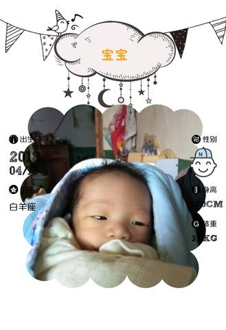 journal_insert_pic_990049634