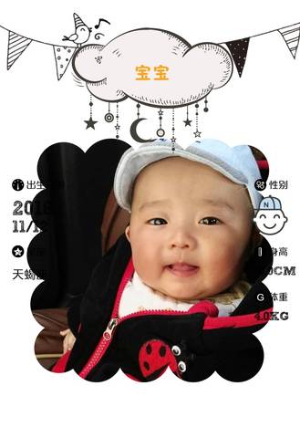 journal_insert_pic_991156786