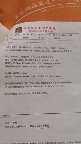 journal_insert_pic_991278117