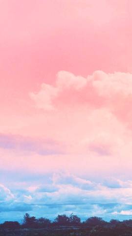 journal_insert_pic_991240707