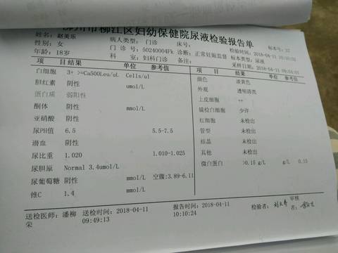 journal_insert_pic_991076364