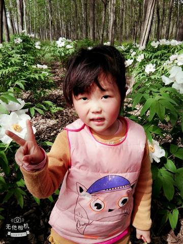 journal_insert_pic_991599605