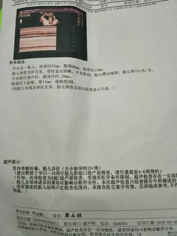 journal_insert_pic_991554050