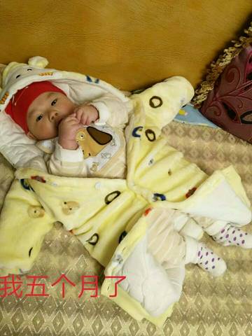 journal_insert_pic_991888241