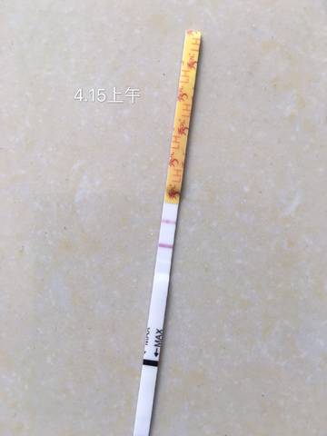journal_insert_pic_991550235